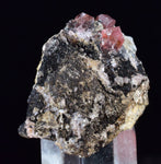 2.6cms RHODOCHROSITE CRYSTALS Peru Uchucchacua Mine Gemstone Collector Mineral Specimen R672