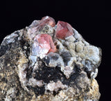 2.6cms RHODOCHROSITE CRYSTALS Peru Uchucchacua Mine Gemstone Collector Mineral Specimen R672