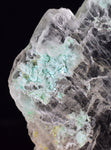 5.4cms CHRYSOCOLLA INSIDE SELENITE Crystals  Peru Gypsum Mineral Specimen T436