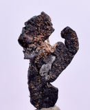 2cms NATIVE SILVER WIRES Peru Uchuchaccua Mine 2000 Discovery Mineral Specimen H340