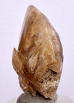 3.6cms SELENITE DOLLAR CRYSTAL Peru Coin Golden Gypsum Suiseki Translucent Premium Mineral Specimen T442