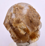 3.6cms SELENITE DOLLAR CRYSTAL Peru Coin Golden Gypsum Suiseki Translucent Premium Mineral Specimen T442