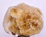 4.8cms SELENITE DOLLAR CRYSTAL Peru Coin Golden Gypsum Suiseki Translucent Premium Mineral Specimen T443