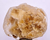4.8cms SELENITE DOLLAR CRYSTAL Peru Coin Golden Gypsum Suiseki Translucent Premium Mineral Specimen T443
