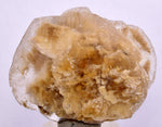 4.8cms SELENITE DOLLAR CRYSTAL Peru Coin Golden Gypsum Suiseki Translucent Premium Mineral Specimen T443
