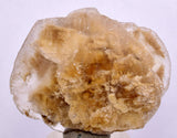 4.8cms SELENITE DOLLAR CRYSTAL Peru Coin Golden Gypsum Suiseki Translucent Premium Mineral Specimen T443