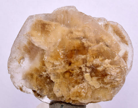 4.8cms SELENITE DOLLAR CRYSTAL Peru Coin Golden Gypsum Suiseki Translucent Premium Mineral Specimen T443