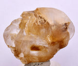 4cms SELENITE DOLLAR CRYSTAL Peru Coin Golden Gypsum Suiseki Translucent Premium Mineral Specimen T445