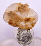 4cms SELENITE DOLLAR CRYSTAL Peru Coin Golden Gypsum Suiseki Translucent Premium Mineral Specimen T445