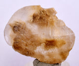 4cms SELENITE DOLLAR CRYSTAL Peru Coin Golden Gypsum Suiseki Translucent Premium Mineral Specimen T445