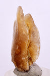3.4cms SELENITE DOLLAR CRYSTAL Peru Coin Golden Gypsum Suiseki Translucent Premium Mineral Specimen T446