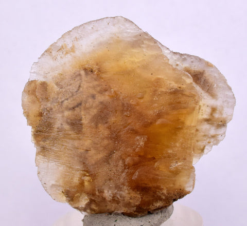 3.4cms SELENITE DOLLAR CRYSTAL Peru Coin Golden Gypsum Suiseki Translucent Premium Mineral Specimen T446