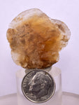 3.4cms SELENITE DOLLAR CRYSTAL Peru Coin Golden Gypsum Suiseki Translucent Premium Mineral Specimen T446