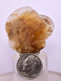 3.4cms SELENITE DOLLAR CRYSTAL Peru Coin Golden Gypsum Suiseki Translucent Premium Mineral Specimen T446