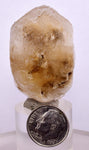 4.4cms SELENITE DOLLAR CRYSTAL Peru Coin Golden Gypsum Suiseki Translucent Premium Mineral Specimen T447