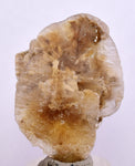 4.5cms SELENITE DOLLAR CRYSTAL Peru Coin Golden Gypsum Suiseki Translucent Premium Mineral Specimen T448