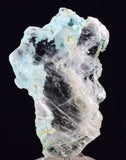 5.4cms CRYSOCOLLA INSIDE SELENITE Crystals  Peru Chrysocolla Gypsum Premium Mineral Specimen T450
