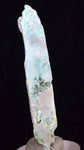5.4cms CRYSOCOLLA INSIDE SELENITE Crystals  Peru Chrysocolla Gypsum Premium Mineral Specimen T450