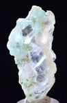 5.4cms CRYSOCOLLA INSIDE SELENITE Crystals  Peru Chrysocolla Gypsum Premium Mineral Specimen T450