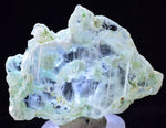 4.4cms CRYSOCOLLA INSIDE SELENITE Crystals  Peru Chrysocolla Gypsum Premium Mineral Specimen T451