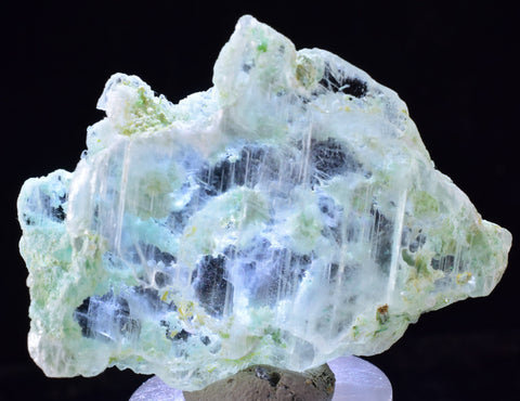 4.4cms CRYSOCOLLA INSIDE SELENITE Crystals  Peru Chrysocolla Gypsum Premium Mineral Specimen T451