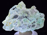 4.4cms CRYSOCOLLA INSIDE SELENITE Crystals  Peru Chrysocolla Gypsum Premium Mineral Specimen T451