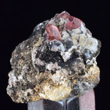 2.6cms RHODOCHROSITE CRYSTALS Peru Uchucchacua Mine Gemstone Collector Mineral Specimen R672