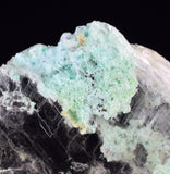5.4cms CHRYSOCOLLA INSIDE SELENITE Crystals  Peru Gypsum Mineral Specimen T436