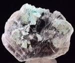 5.4cms CHRYSOCOLLA INSIDE SELENITE Crystals  Peru Gypsum Mineral Specimen T436