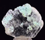 5.4cms CHRYSOCOLLA INSIDE SELENITE Crystals  Peru Gypsum Mineral Specimen T436