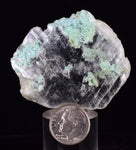 5.4cms CHRYSOCOLLA INSIDE SELENITE Crystals  Peru Gypsum Mineral Specimen T436