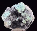 5.4cms CHRYSOCOLLA INSIDE SELENITE Crystals  Peru Gypsum Mineral Specimen T436