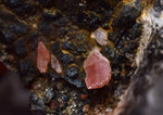 5.3cms GEM RHODOCHROSITE MANGANITE Quartz Crystals Uchucchacua Mineral Specimen R680