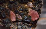 5.3cms GEM RHODOCHROSITE MANGANITE Quartz Crystals Uchucchacua Mineral Specimen R680