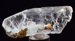 8.4cms CRYSOCOLLA INSIDE SELENITE Crystals  Peru Chrysocolla Gypsum Premium Mineral Specimen T440