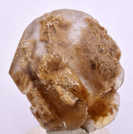 3.6cms SELENITE DOLLAR CRYSTAL Peru Coin Golden Gypsum Suiseki Translucent Premium Mineral Specimen T442