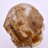 3.6cms SELENITE DOLLAR CRYSTAL Peru Coin Golden Gypsum Suiseki Translucent Premium Mineral Specimen T442