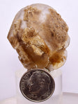 3.6cms SELENITE DOLLAR CRYSTAL Peru Coin Golden Gypsum Suiseki Translucent Premium Mineral Specimen T442