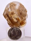 3.6cms SELENITE DOLLAR CRYSTAL Peru Coin Golden Gypsum Suiseki Translucent Premium Mineral Specimen T442