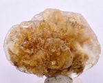 4.8cms SELENITE DOLLAR CRYSTAL Peru Coin Golden Gypsum Suiseki Translucent Premium Mineral Specimen T443