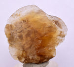 3.4cms SELENITE DOLLAR CRYSTAL Peru Coin Golden Gypsum Suiseki Translucent Premium Mineral Specimen T446