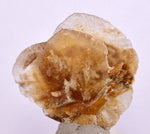 3.4cms SELENITE DOLLAR CRYSTAL Peru Coin Golden Gypsum Suiseki Translucent Premium Mineral Specimen T446