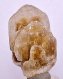 4.4cms SELENITE DOLLAR CRYSTAL Peru Coin Golden Gypsum Suiseki Translucent Premium Mineral Specimen T447
