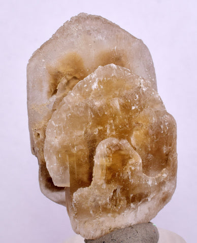 4.4cms SELENITE DOLLAR CRYSTAL Peru Coin Golden Gypsum Suiseki Translucent Premium Mineral Specimen T447
