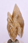 4.4cms SELENITE DOLLAR CRYSTAL Peru Coin Golden Gypsum Suiseki Translucent Premium Mineral Specimen T447