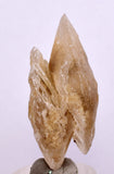 4.4cms SELENITE DOLLAR CRYSTAL Peru Coin Golden Gypsum Suiseki Translucent Premium Mineral Specimen T447