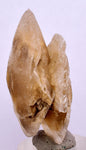 4.4cms SELENITE DOLLAR CRYSTAL Peru Coin Golden Gypsum Suiseki Translucent Premium Mineral Specimen T447