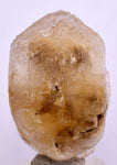 4.4cms SELENITE DOLLAR CRYSTAL Peru Coin Golden Gypsum Suiseki Translucent Premium Mineral Specimen T447