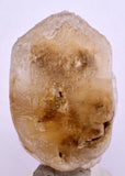 4.4cms SELENITE DOLLAR CRYSTAL Peru Coin Golden Gypsum Suiseki Translucent Premium Mineral Specimen T447