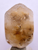4.4cms SELENITE DOLLAR CRYSTAL Peru Coin Golden Gypsum Suiseki Translucent Premium Mineral Specimen T447